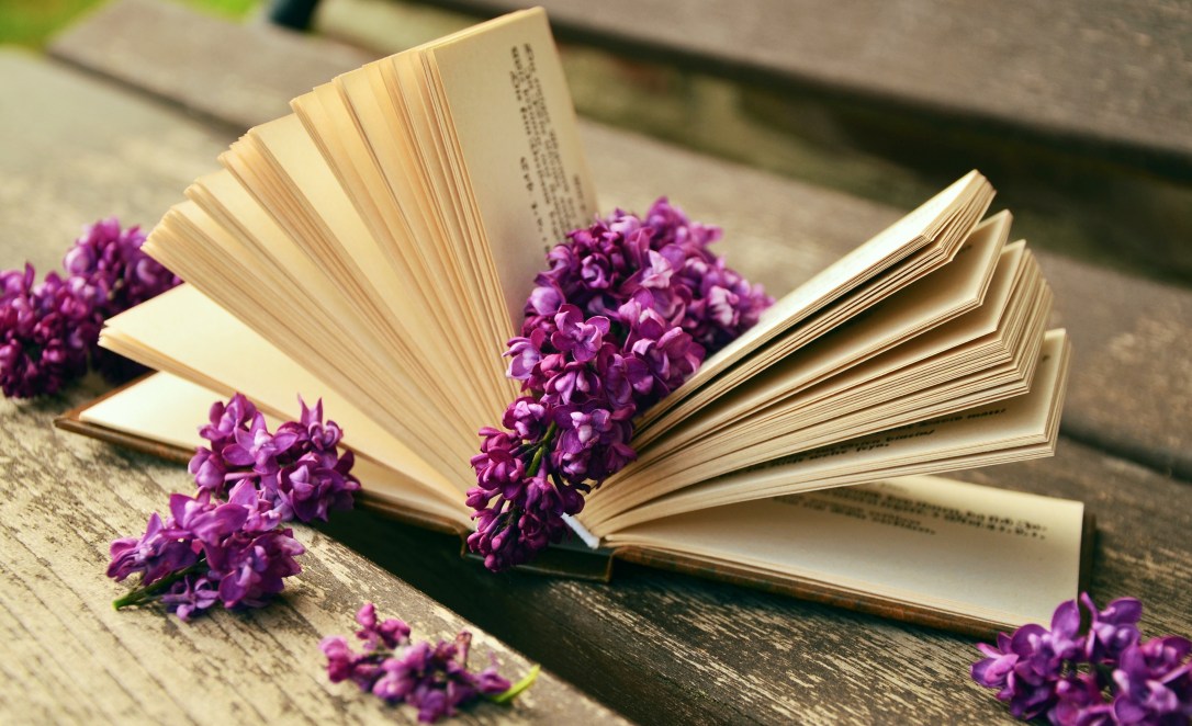 book-read-open-flower-purple-petal-731732-pxhere.com.jpg